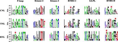 Distinct Evolutionary Patterns of NBS-Encoding Genes in Three Soapberry Family (Sapindaceae) Species